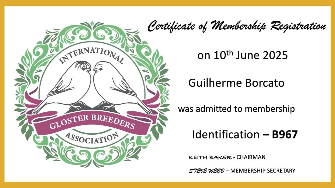 Certificado Gloster 993 IBGA.jpg
